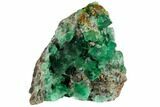 Fluorite and Galena on Fossil Coral (Actinocyathus) - Rogerley Mine #132988-2
